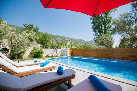 Villa Halfmoon 1
