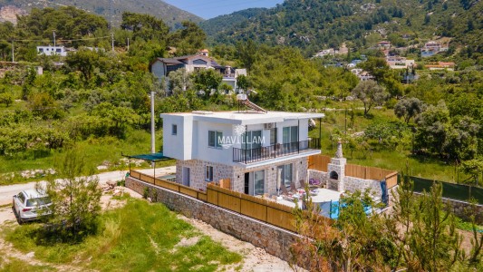 Villa Petek 2