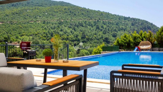 Villa Health
