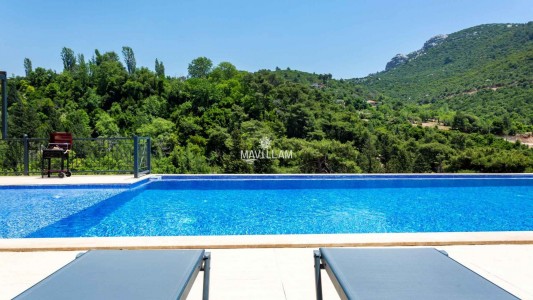 Villa Health